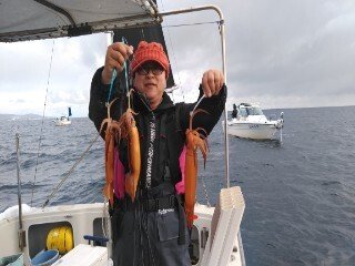 スルメ(スルメイカ)