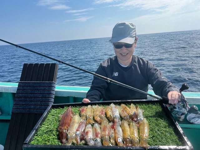 マルイカ(ケンサキイカ)