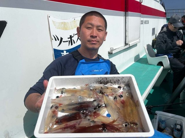 マルイカ(ケンサキイカ)