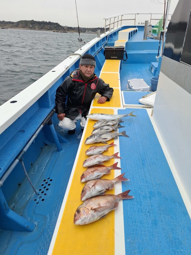 マダイ・クロダイ・イナダ(ブリ)