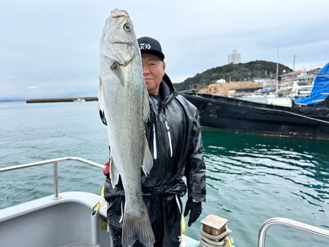 シーバス(スズキ)