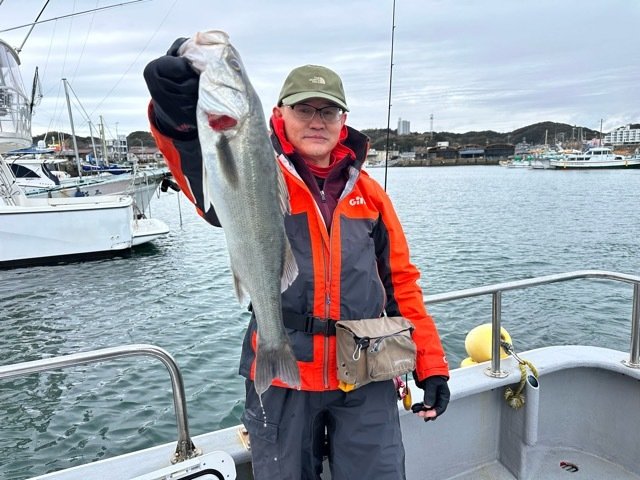 シーバス(スズキ)