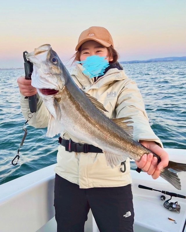 シーバス(スズキ)