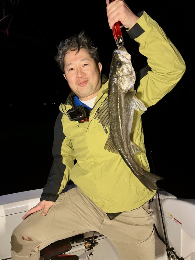 シーバス(スズキ)