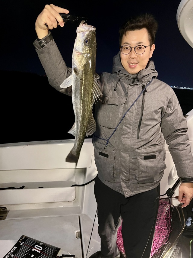 シーバス(スズキ)