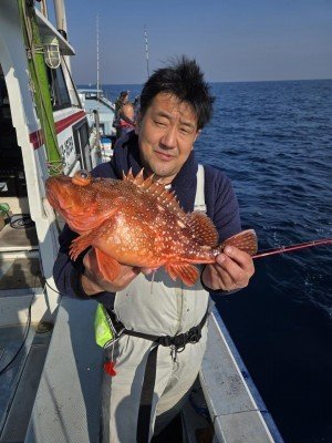 カンコ(ウッカリカサゴ)