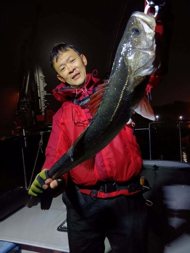 シーバス(スズキ)