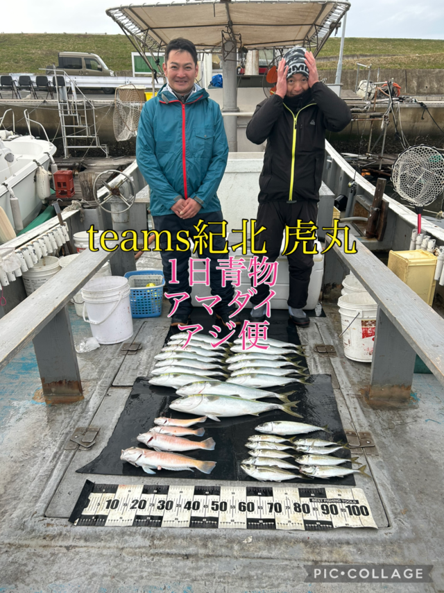 アジ(マアジ)・ハマチ(ブリ)・メジロ(ブリ)・シロアマダイ・サバ(マサバ)