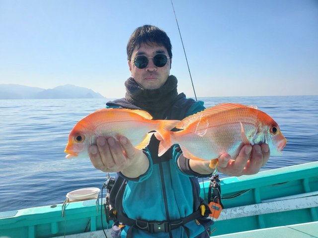 レンコダイ(キダイ)