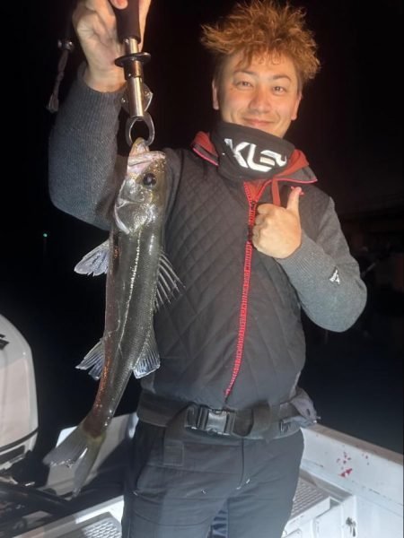 シーバス(スズキ)