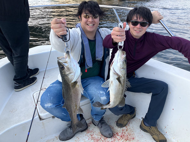 シーバス(スズキ)