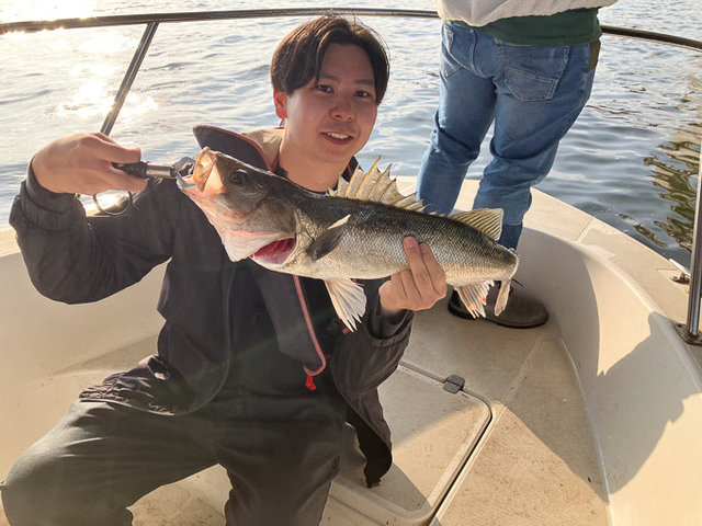 シーバス(スズキ)