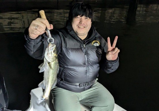 シーバス(スズキ)