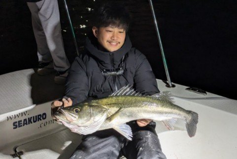 シーバス(スズキ)