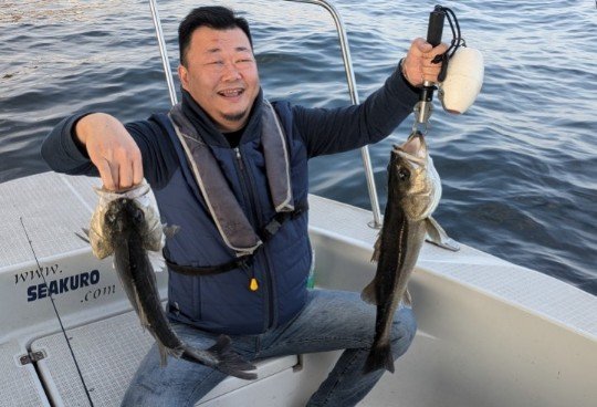 シーバス(スズキ)