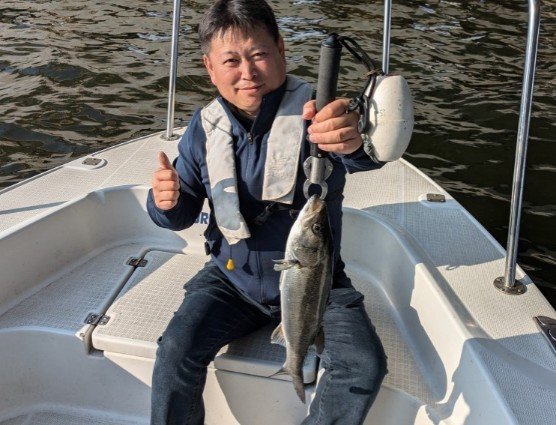 シーバス(スズキ)