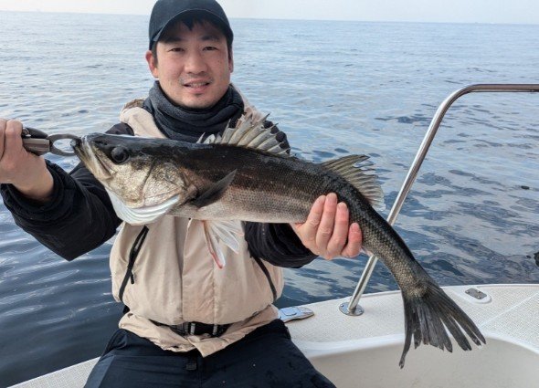 シーバス(スズキ)