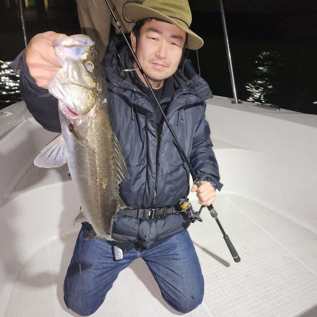 シーバス(スズキ)