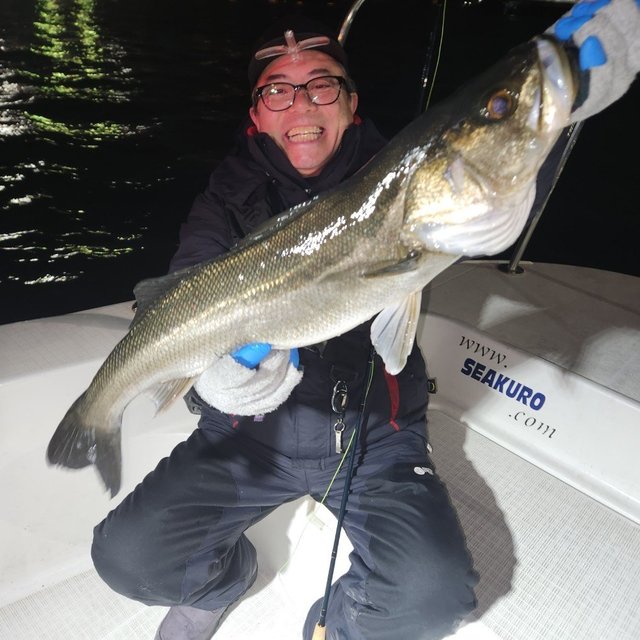 シーバス(スズキ)