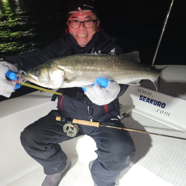 シーバス(スズキ)