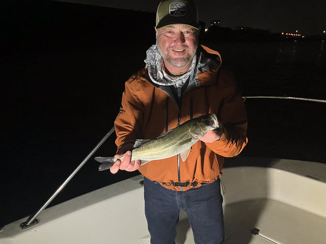 シーバス(スズキ)