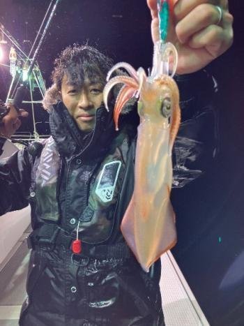 マイカ(ケンサキイカ)