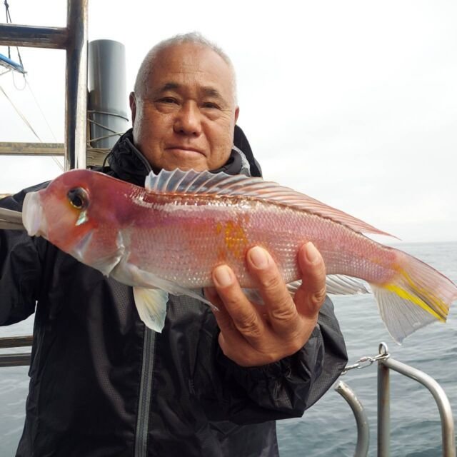 アマダイ(アカアマダイ)