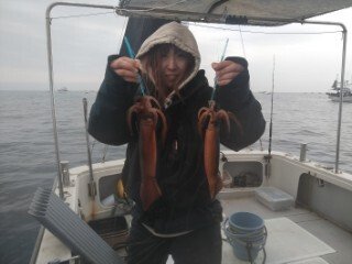 スルメ(スルメイカ)