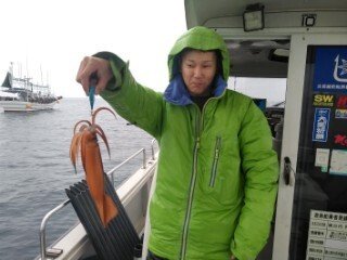 スルメ(スルメイカ)