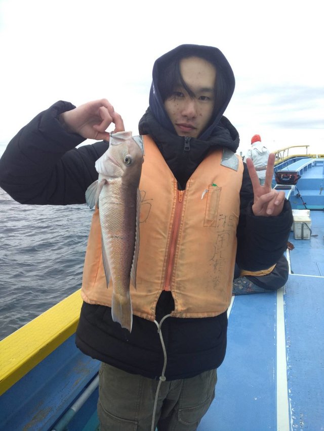 アマダイ(アカアマダイ)