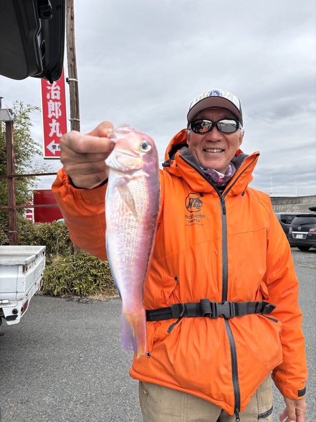 アマダイ(アカアマダイ)