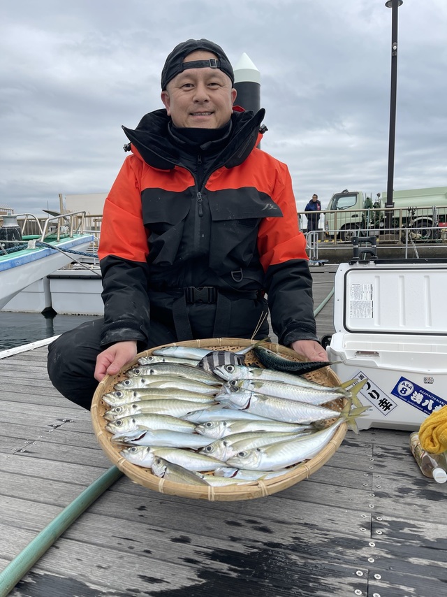 アジ(マアジ)・サバ(ゴマサバ)