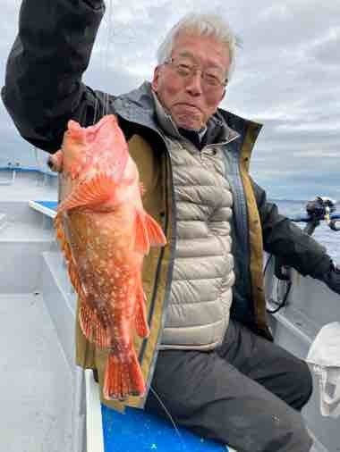 カンコ(ウッカリカサゴ)