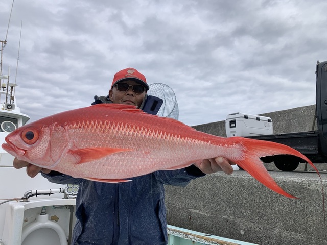 オナガダイ(ハマダイ)