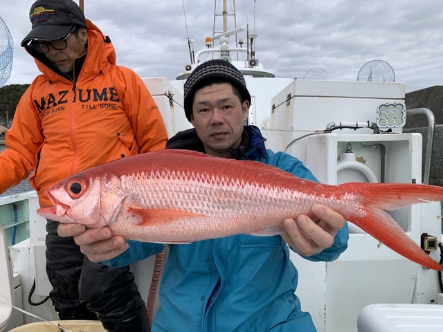 オナガダイ(ハマダイ)