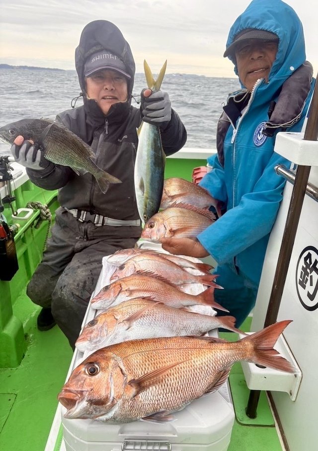 マダイ・クロダイ・イナダ(ブリ)