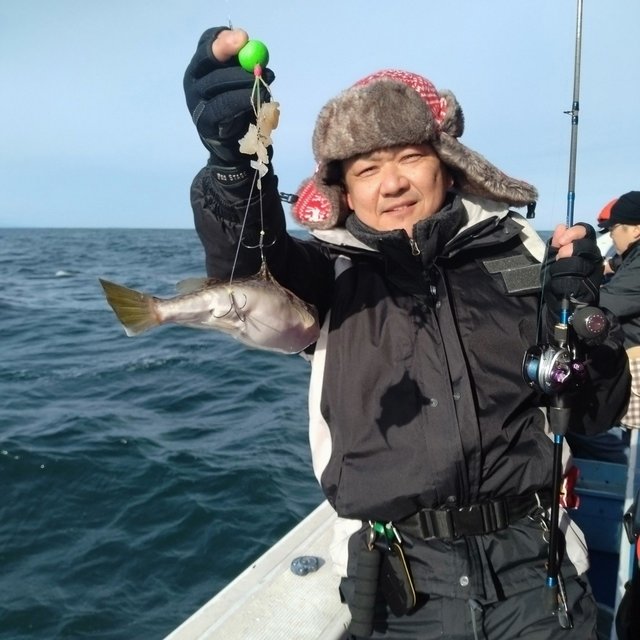 フグ(ショウサイフグ)