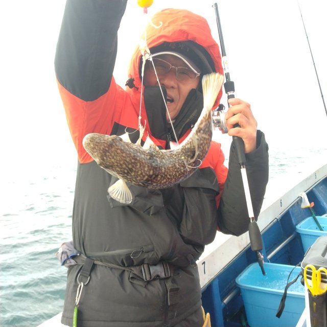 フグ(ショウサイフグ)