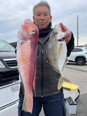 カイワリ・アマダイ(アカアマダイ)