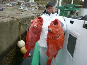 ベニアコウ(オオサガ)