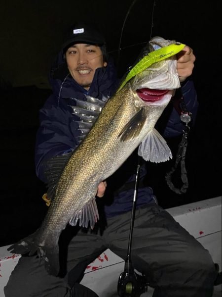 シーバス(スズキ)