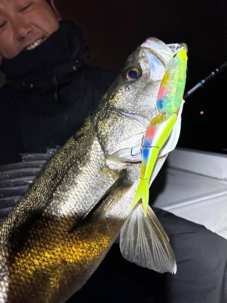 シーバス(スズキ)