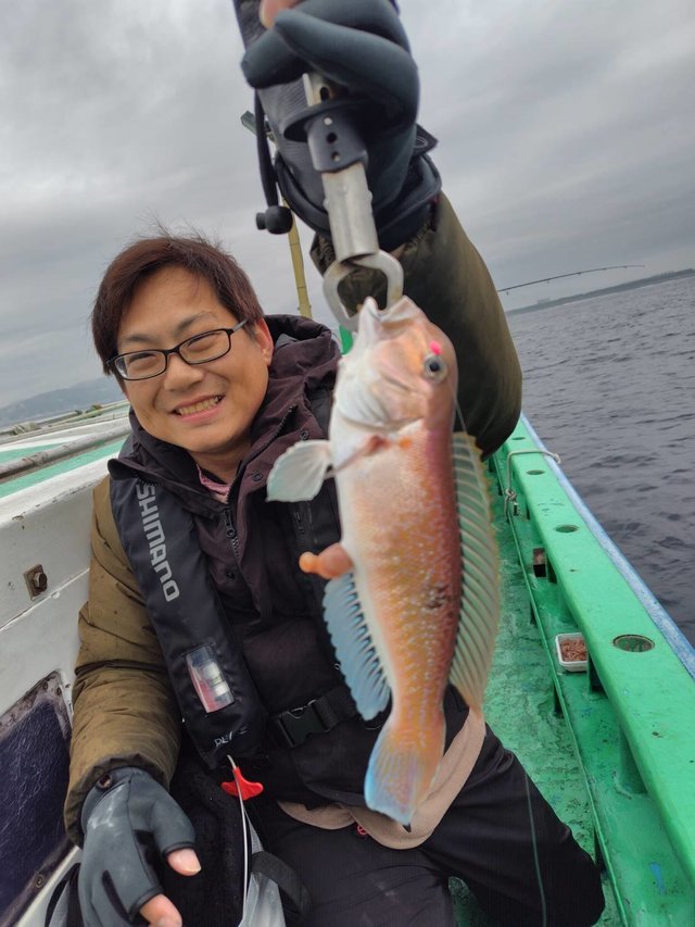 アマダイ(アカアマダイ)