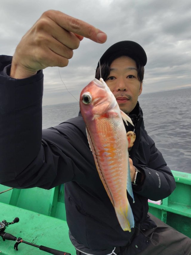 アマダイ(アカアマダイ)