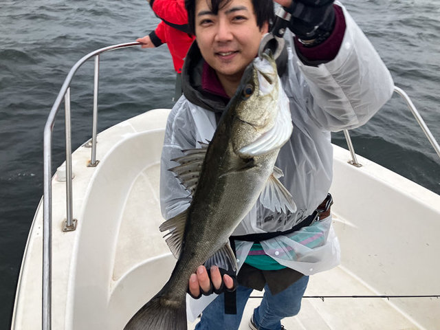 シーバス(スズキ)