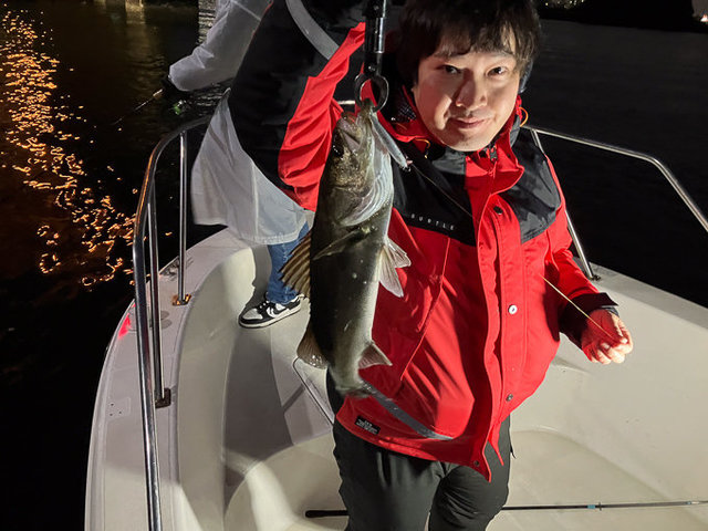 シーバス(スズキ)