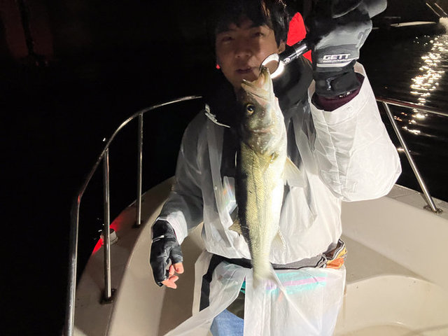 シーバス(スズキ)