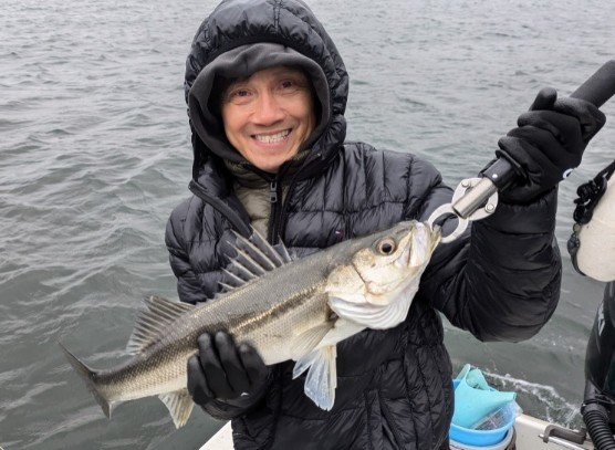 シーバス(スズキ)