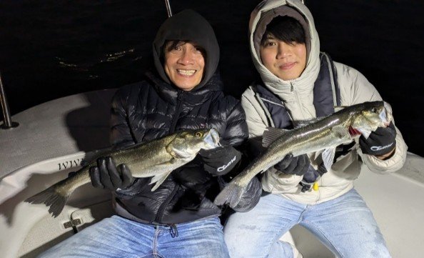 シーバス(スズキ)