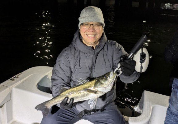 シーバス(スズキ)